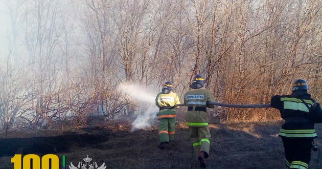 Пожарные поезда филиалов ФГП ВО ЖДТ России привлекались для тушения пожаров в полосе отвода