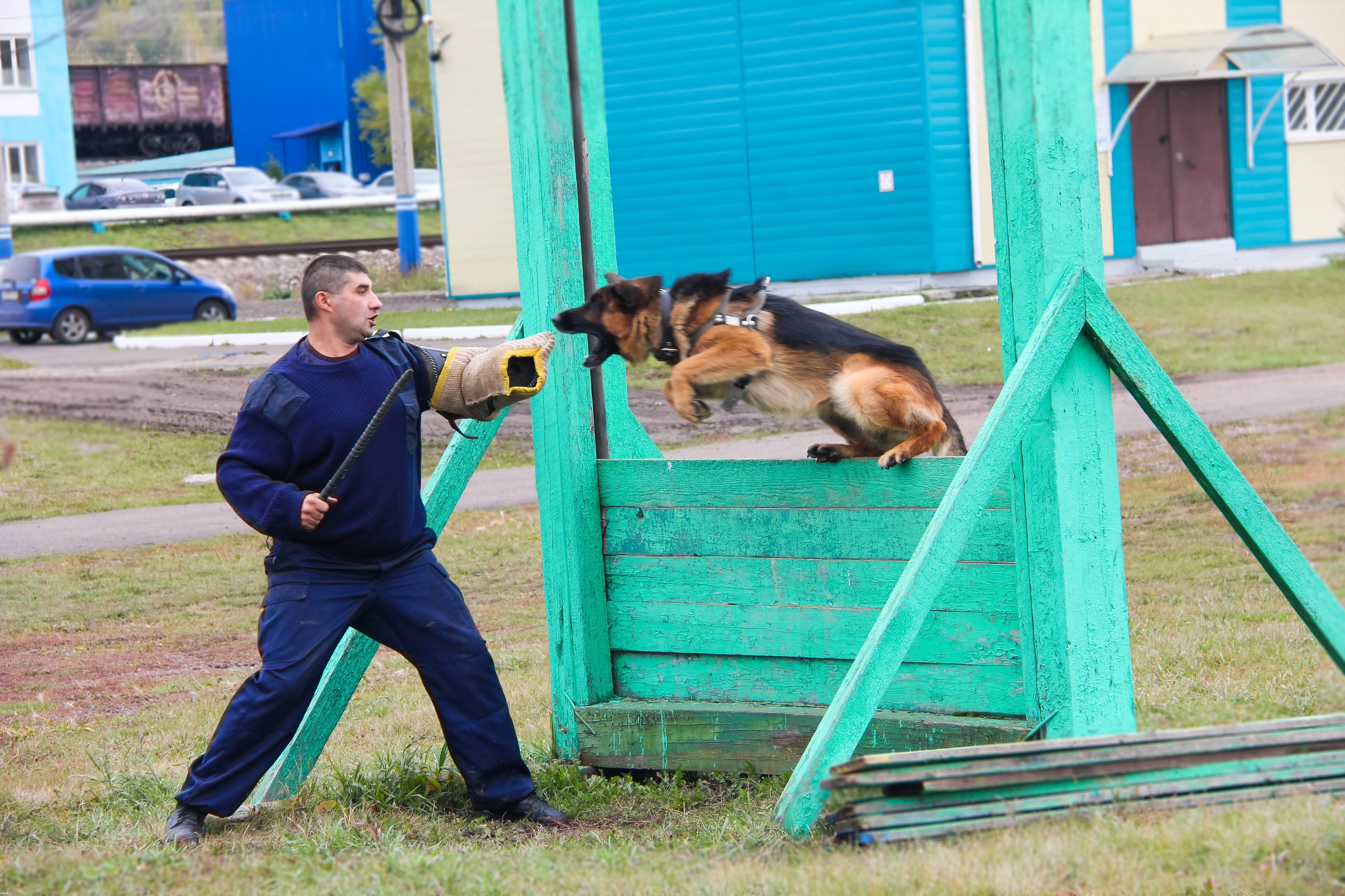 Охрана с применением собак